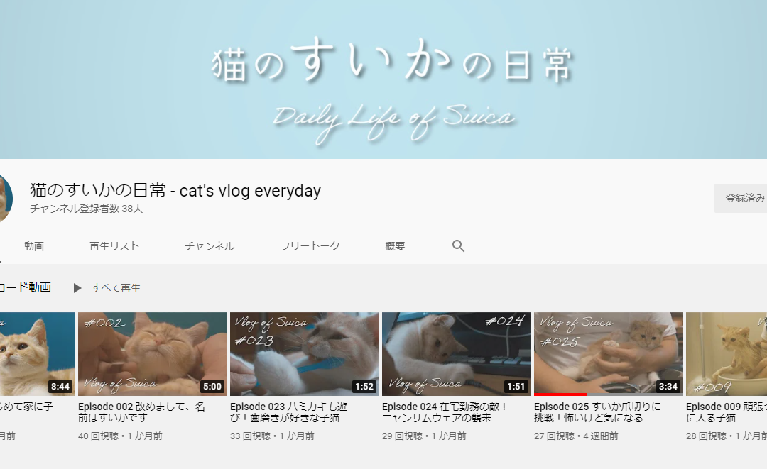 #070「すいかと剛毛房男さんとPC自作とYoutube」